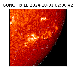 gong - 2024-10-01T02:00:42