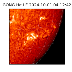 gong - 2024-10-01T04:12:42