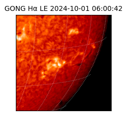 gong - 2024-10-01T06:00:42