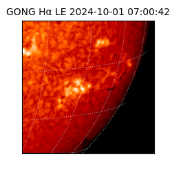 gong - 2024-10-01T07:00:42