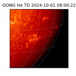 gong - 2024-10-01T08:00:22