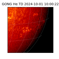 gong - 2024-10-01T10:00:22