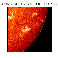 gong - 2024-10-01T12:06:42