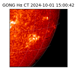 gong - 2024-10-01T15:00:42