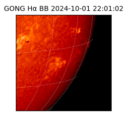 gong - 2024-10-01T22:01:02