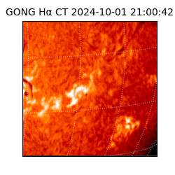 gong - 2024-10-01T21:00:42