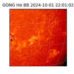 gong - 2024-10-01T22:01:02