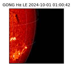 gong - 2024-10-01T01:00:42