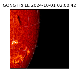 gong - 2024-10-01T02:00:42