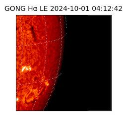 gong - 2024-10-01T04:12:42