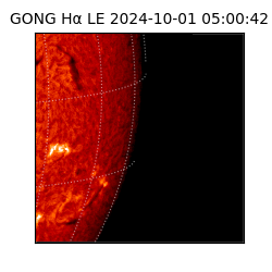 gong - 2024-10-01T05:00:42