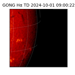 gong - 2024-10-01T09:00:22