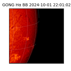 gong - 2024-10-01T22:01:02