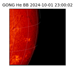 gong - 2024-10-01T23:00:02