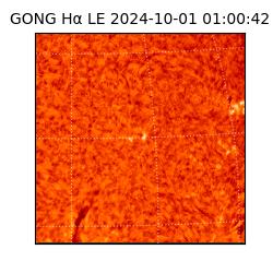 gong - 2024-10-01T01:00:42