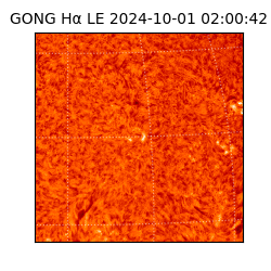 gong - 2024-10-01T02:00:42