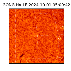 gong - 2024-10-01T05:00:42