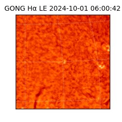 gong - 2024-10-01T06:00:42