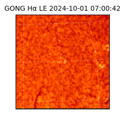 gong - 2024-10-01T07:00:42