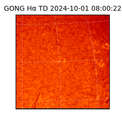 gong - 2024-10-01T08:00:22