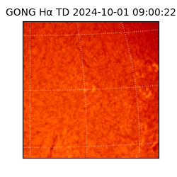 gong - 2024-10-01T09:00:22