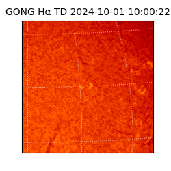 gong - 2024-10-01T10:00:22