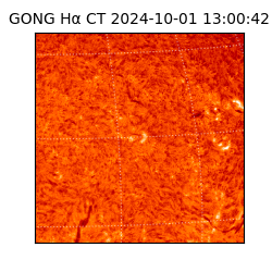 gong - 2024-10-01T13:00:42