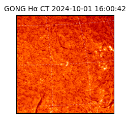 gong - 2024-10-01T16:00:42