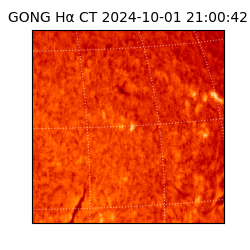 gong - 2024-10-01T21:00:42