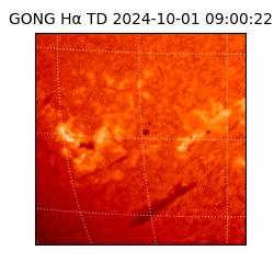 gong - 2024-10-01T09:00:22