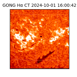 gong - 2024-10-01T16:00:42