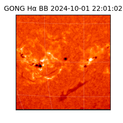 gong - 2024-10-01T22:01:02