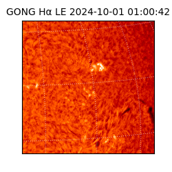 gong - 2024-10-01T01:00:42