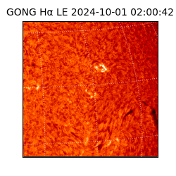 gong - 2024-10-01T02:00:42