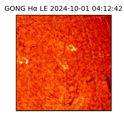 gong - 2024-10-01T04:12:42