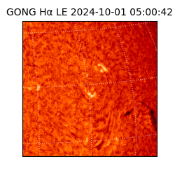 gong - 2024-10-01T05:00:42