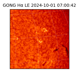 gong - 2024-10-01T07:00:42