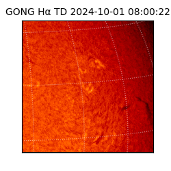 gong - 2024-10-01T08:00:22