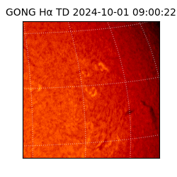 gong - 2024-10-01T09:00:22