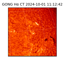 gong - 2024-10-01T11:12:42