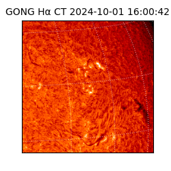 gong - 2024-10-01T16:00:42