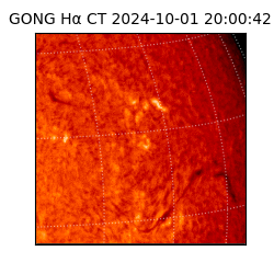 gong - 2024-10-01T20:00:42