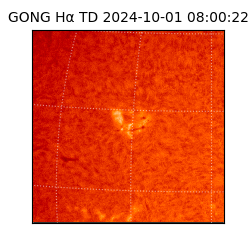 gong - 2024-10-01T08:00:22