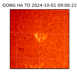 gong - 2024-10-01T09:00:22