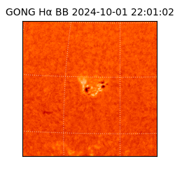 gong - 2024-10-01T22:01:02