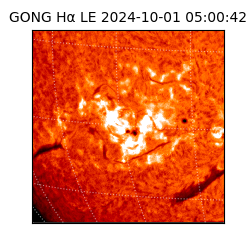 gong - 2024-10-01T05:00:42