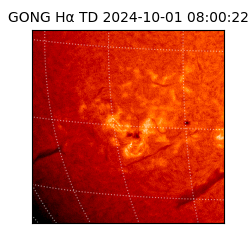 gong - 2024-10-01T08:00:22