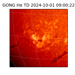 gong - 2024-10-01T09:00:22