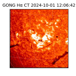 gong - 2024-10-01T12:06:42