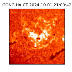 gong - 2024-10-01T21:00:42